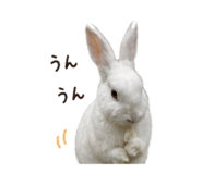 842982336