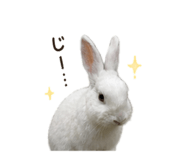 842982338