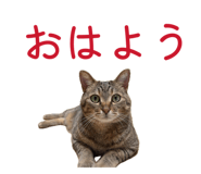 842982673