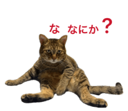 842982686