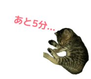 842982696