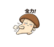 842982729
