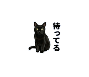 842982875