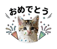 842983563