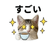 842983568
