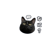 842983704