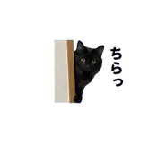 842983706