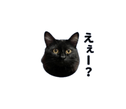 842983707