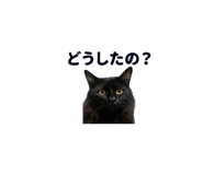 842983718