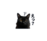 842983720