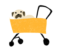 842983767