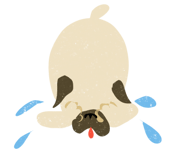 842983780
