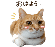 842983985