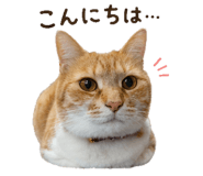 842983986