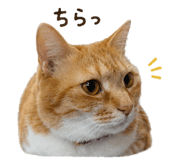 842983991