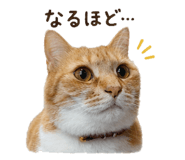 842983994
