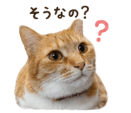 842983995
