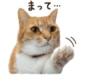 842983998