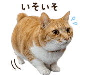 842983999