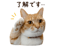 842984002