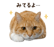 842984005