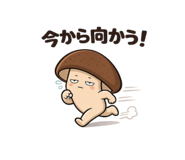 842984431