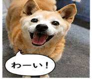 842984507