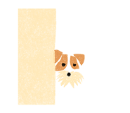 842984540