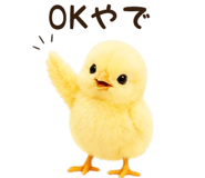 842984676