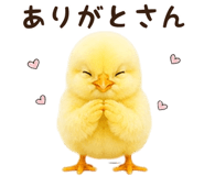 842984679