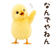 842984682