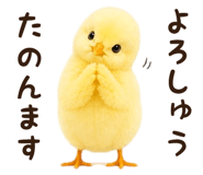 842984683