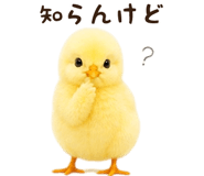 842984686