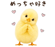 842984690