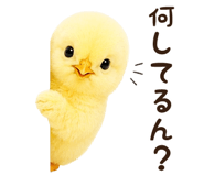 842984692