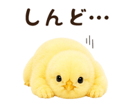 842984694