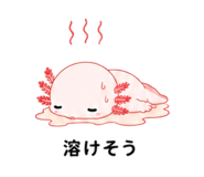 842984906