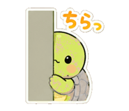 842986416