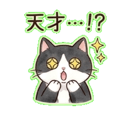 842987517