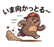 842987667