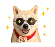 842990206