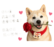 842990207