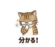 842990378
