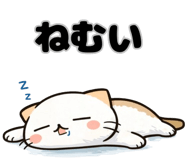 842990538