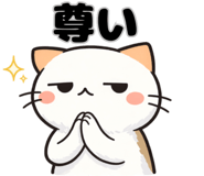 842990554