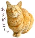 842990634