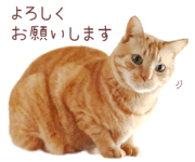842990637