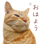842990642