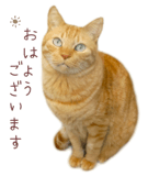 842990643