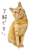 842990647